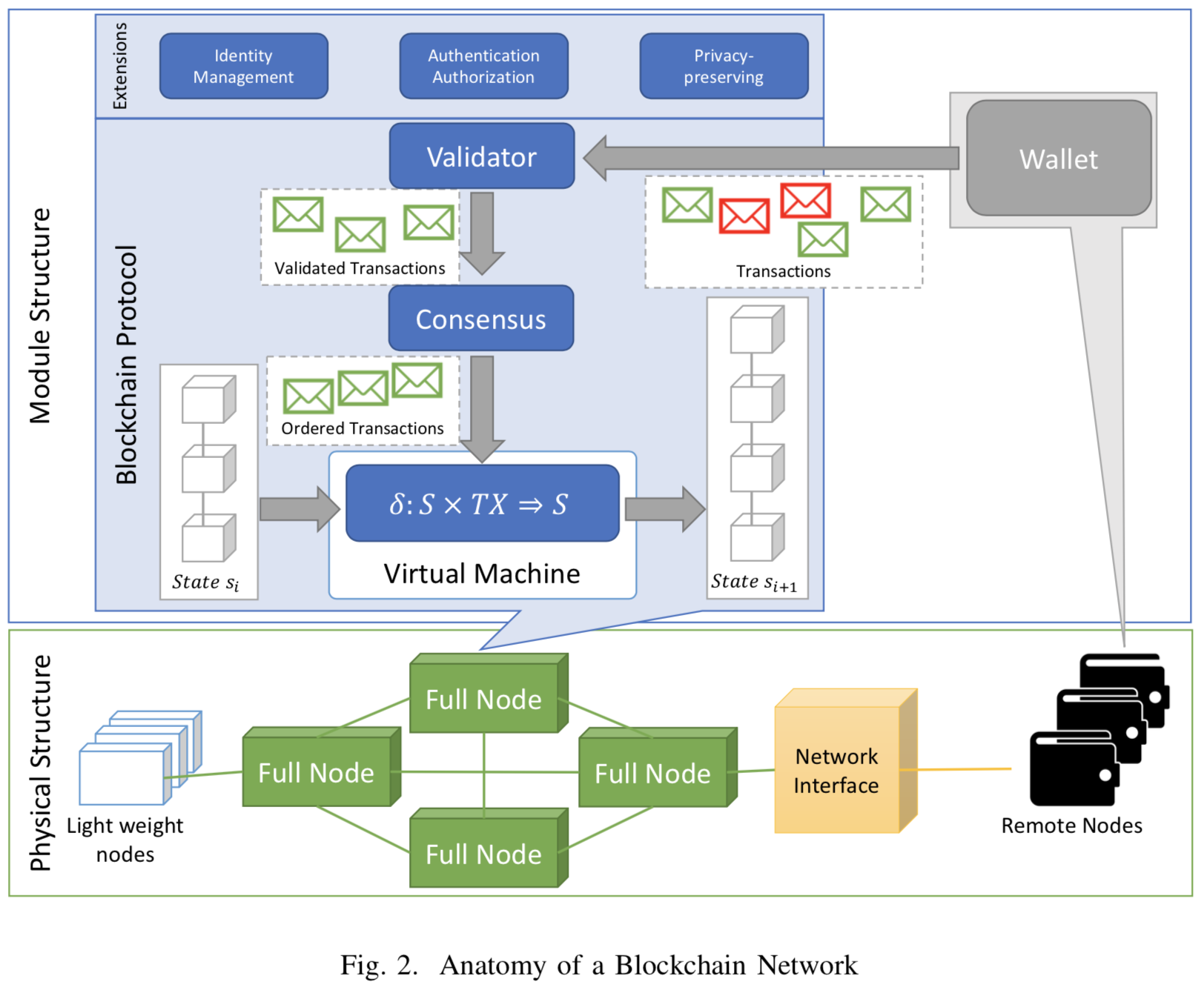 BC-network-anatomy